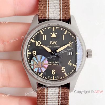 (M+) Swiss Replica IWC Mark XVIII Heritage Titanium Men Watch Nylon Strap